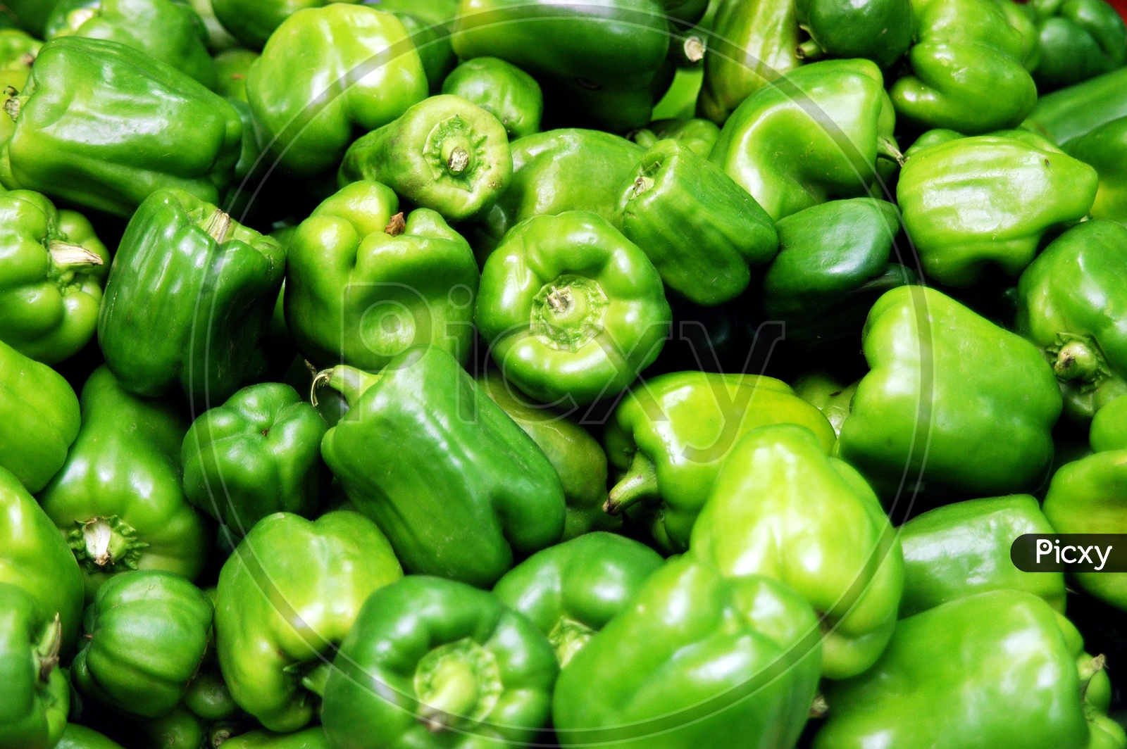 Green Capsicum Or Bell Pepper