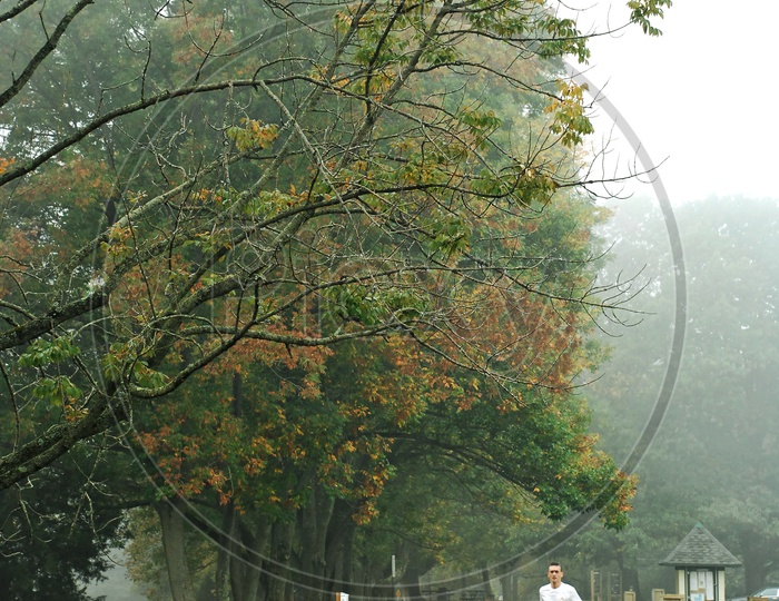 A man jogging during the morning