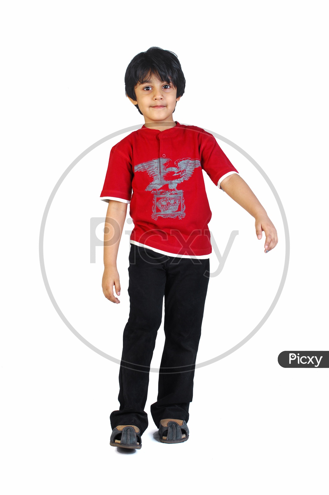 An Indian boy smiling in red tshirt - white background