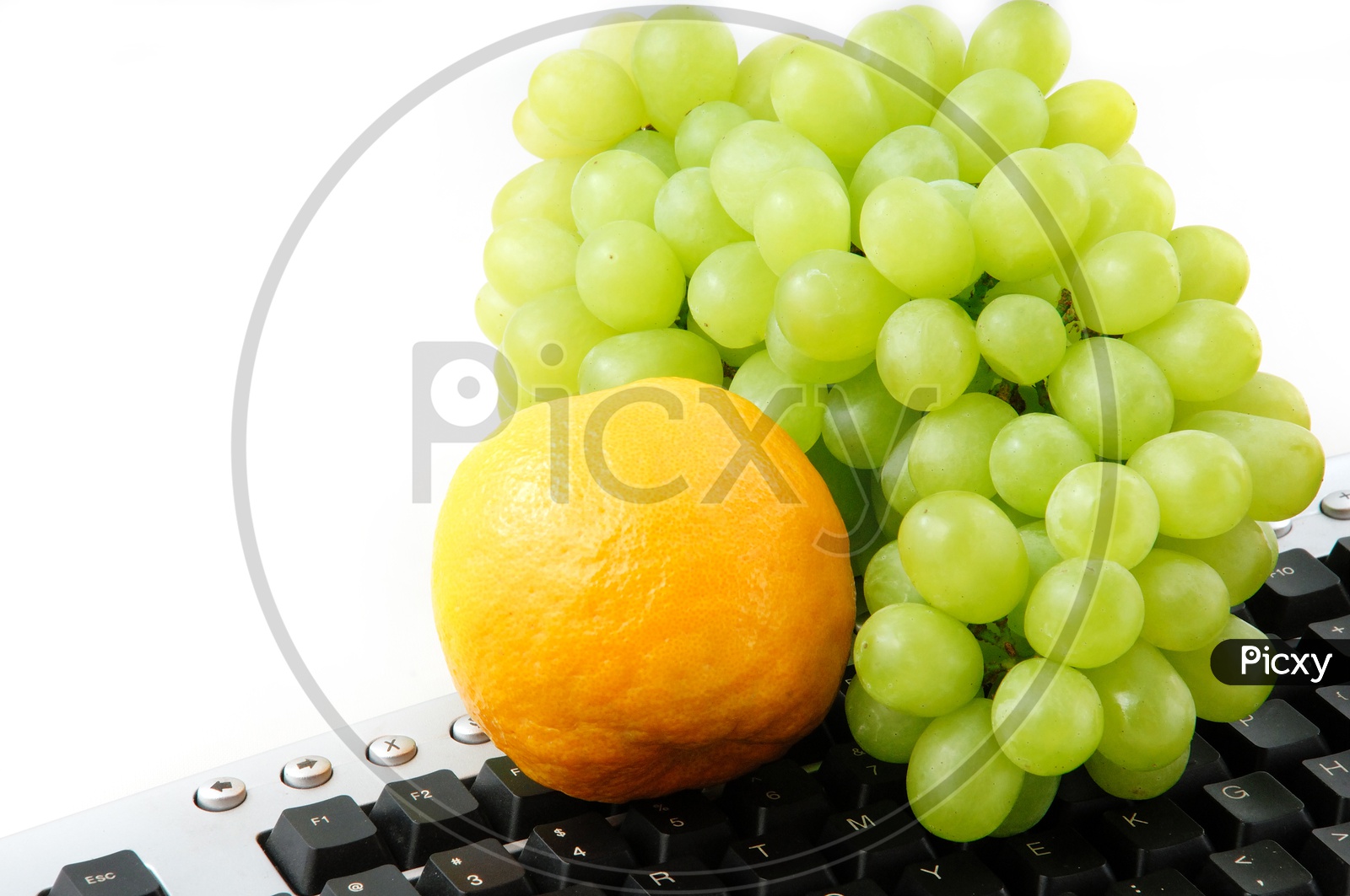 Grapes and Oranges on the key board