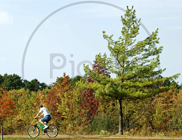 A man riding bicycle in a park