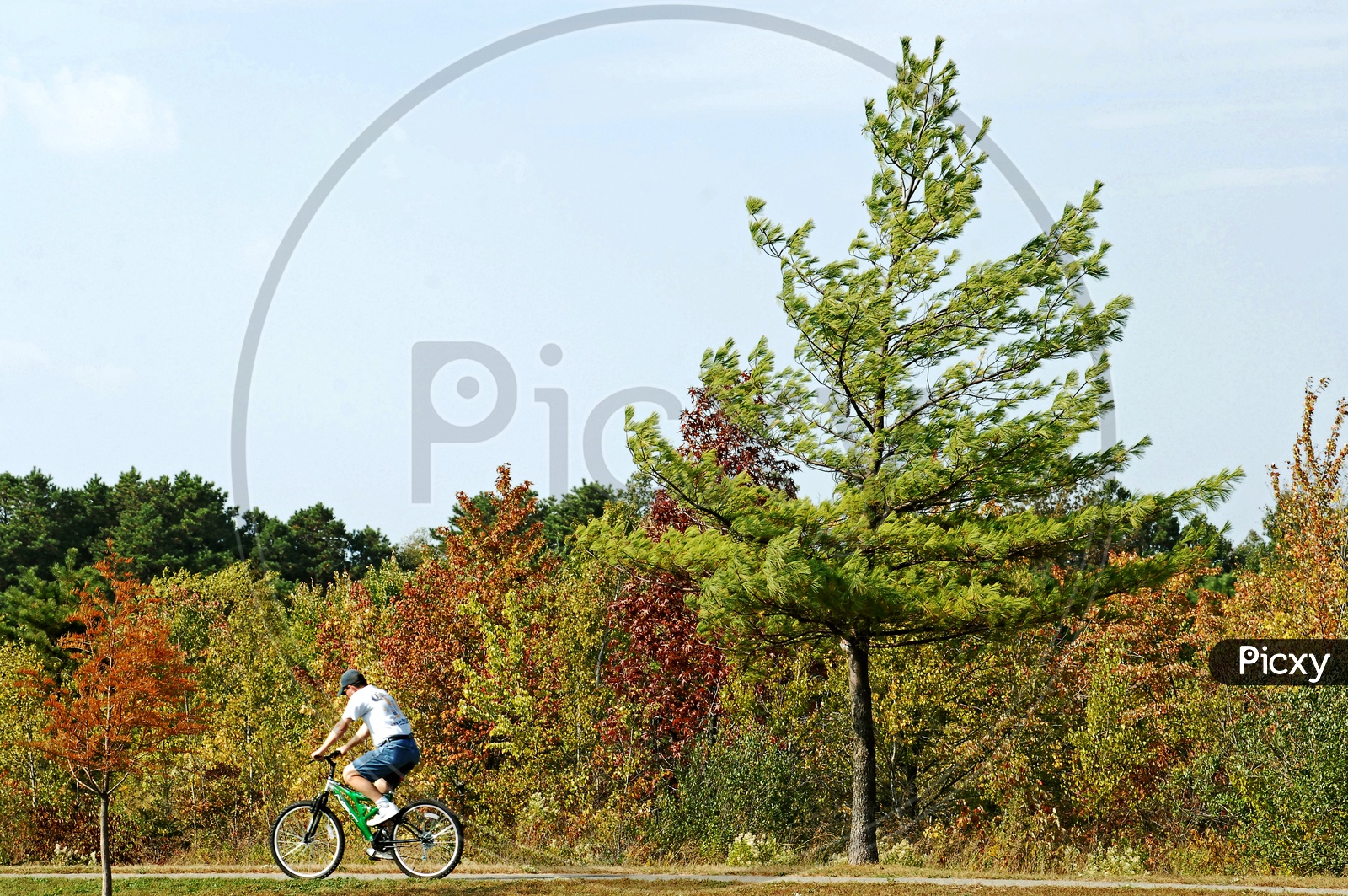 A man riding bicycle in a park