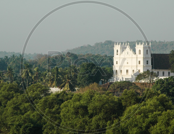 Church amidst the trees on the hill