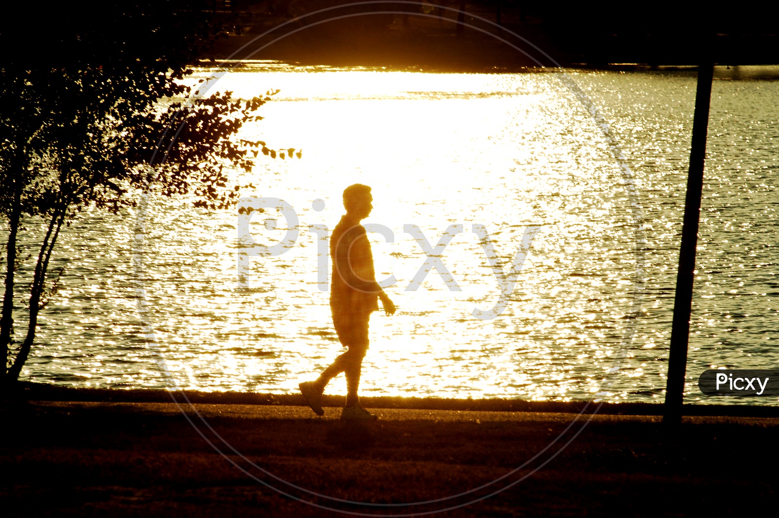 A man going for a walk by the lake during the golden hour