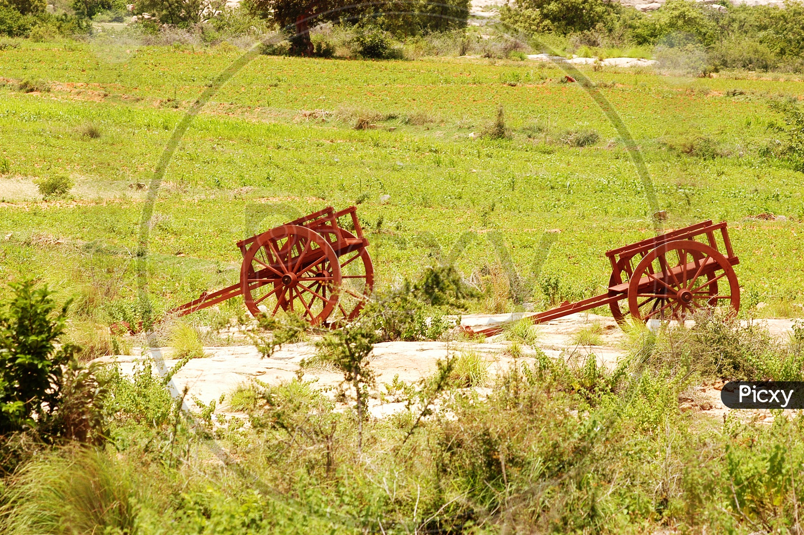 Wooden wagons on the grass land