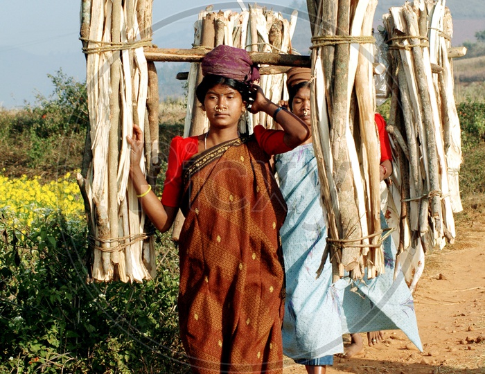 Tribal Women Carrying Cooking Wood