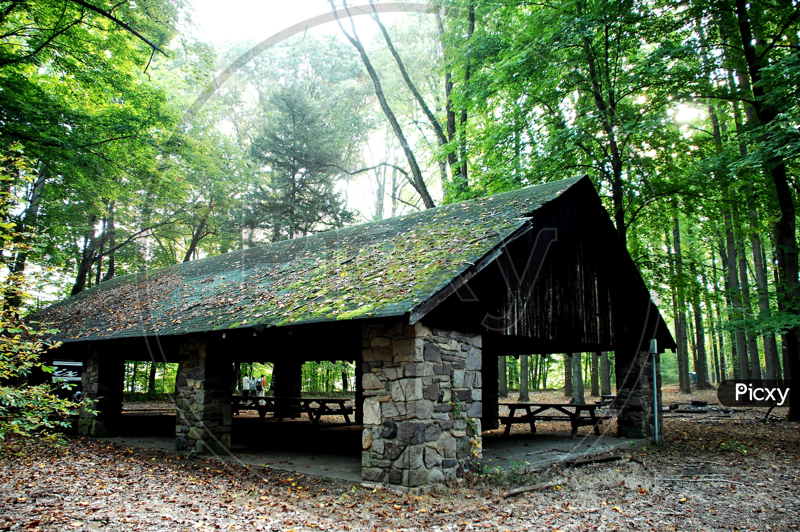 A shelter in the woods