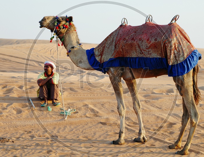 Camel herder with a camel in the desert