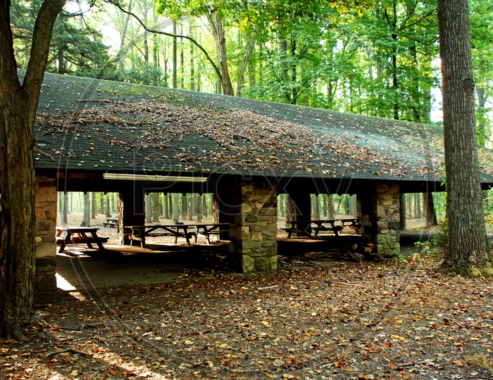 A shelter in the woods during autumn