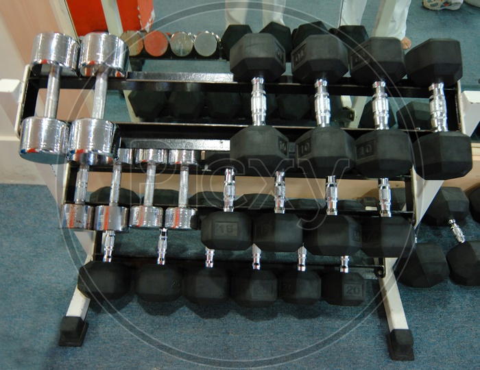 Weights in the gym - Gym equipment