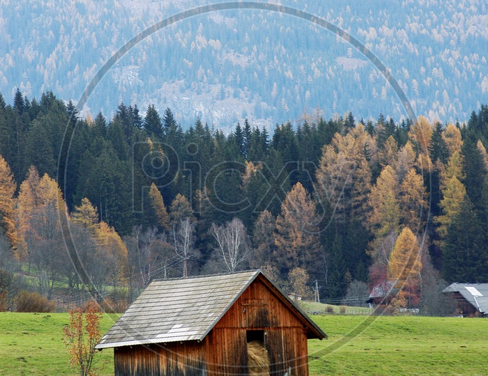 A barn in the meadows and Swiss Alps in the background