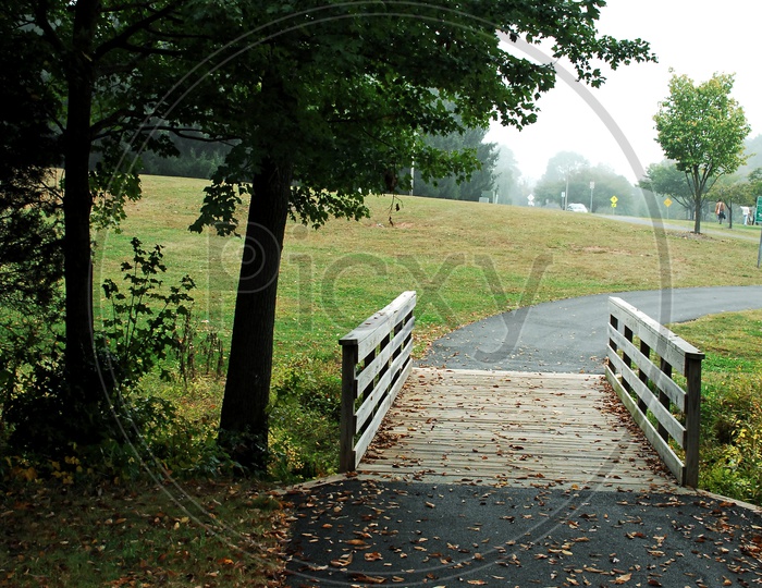 Boardwalk along the pathway during autumn
