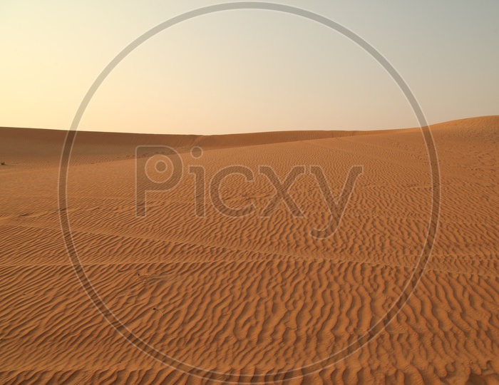 Sand Dunes of Desert
