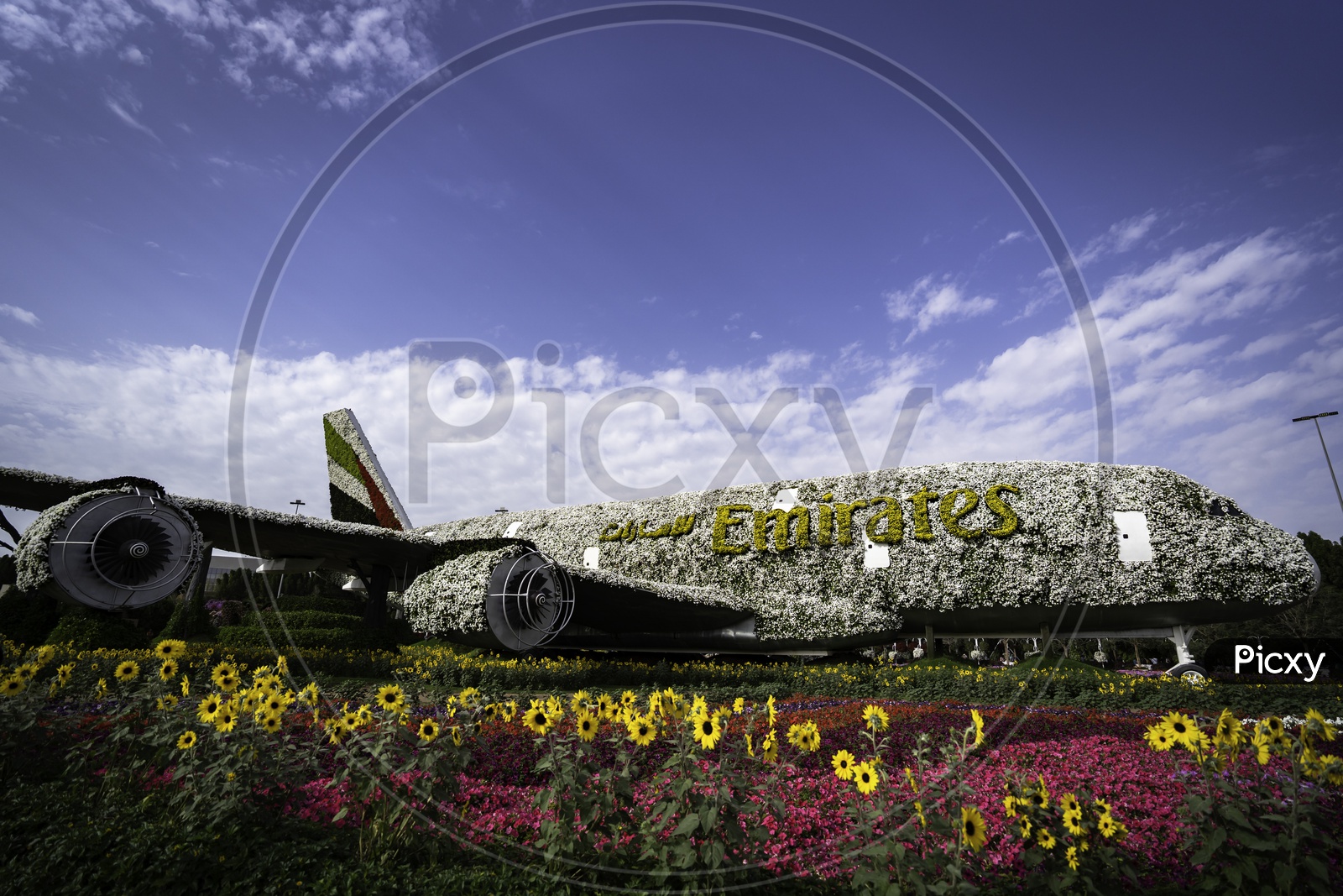 Emirates model plane with flowers at Miracle garden, Dubai
