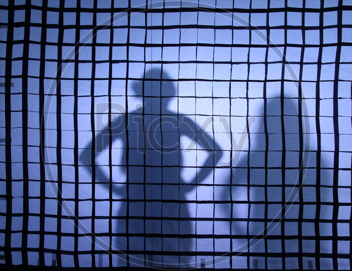 Shadow On a Screen
