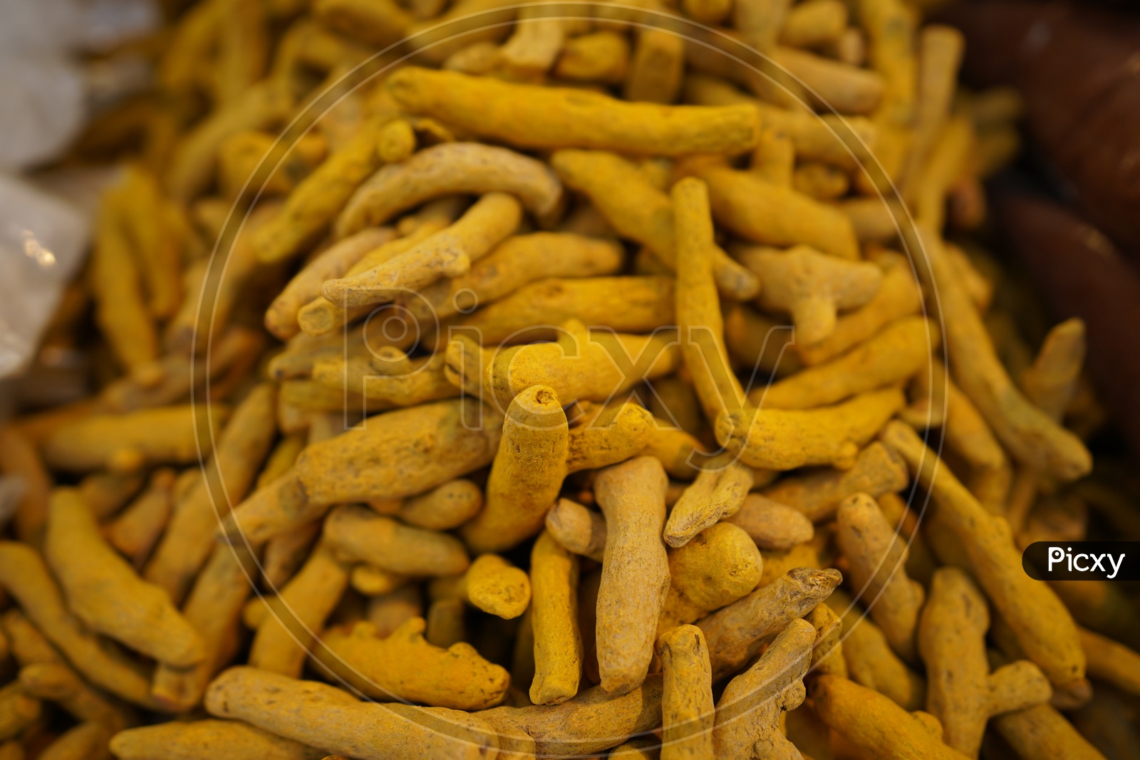Dry turmeric root