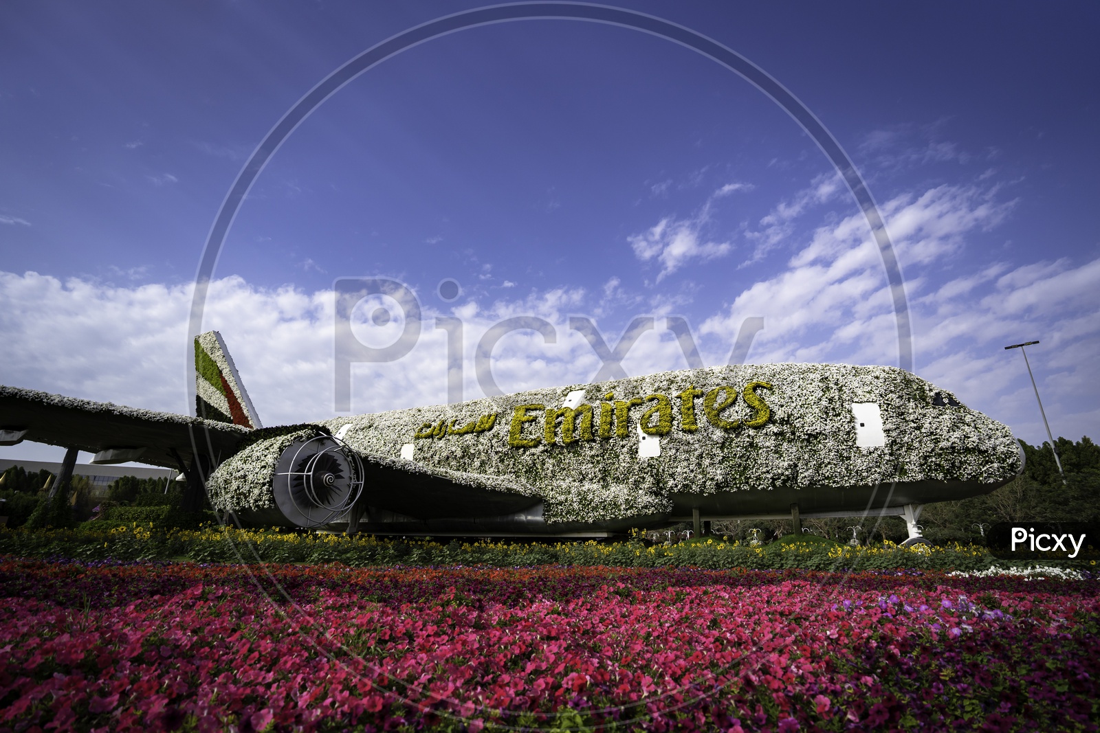 Emirates model plane with flowers at Miracle garden, Dubai