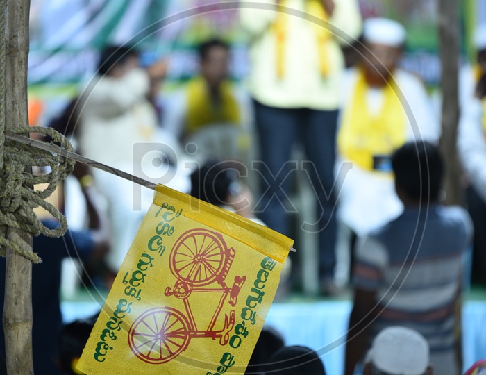 TDP Party Flags at Election Campaign Rallies