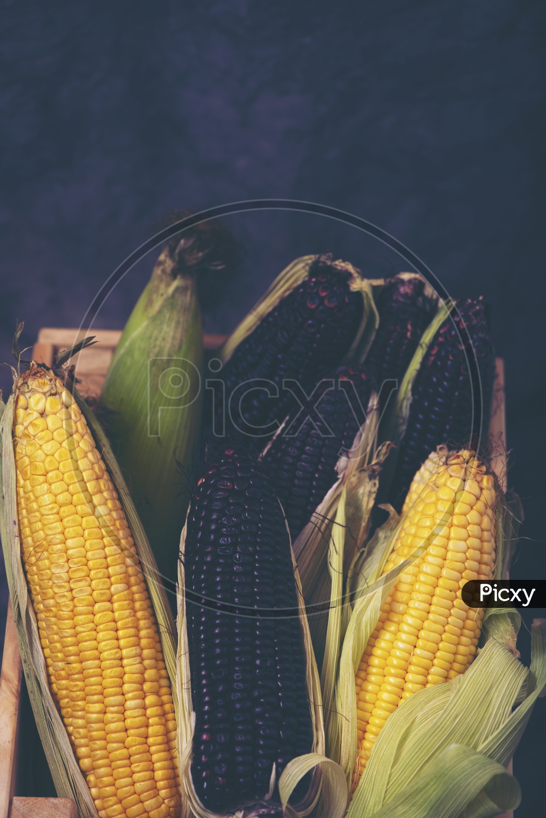 Multi - Coloured Organic Corn In a Basket