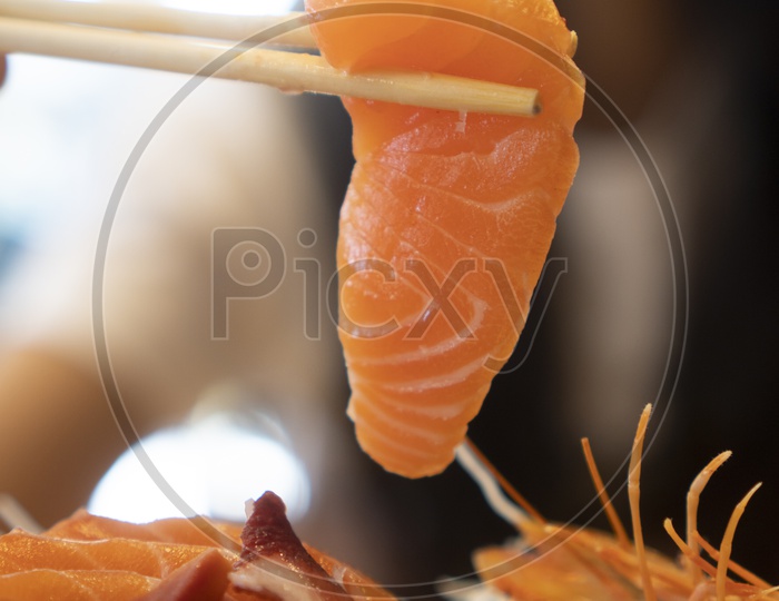 Salmon Sashimi  , Japanese Food