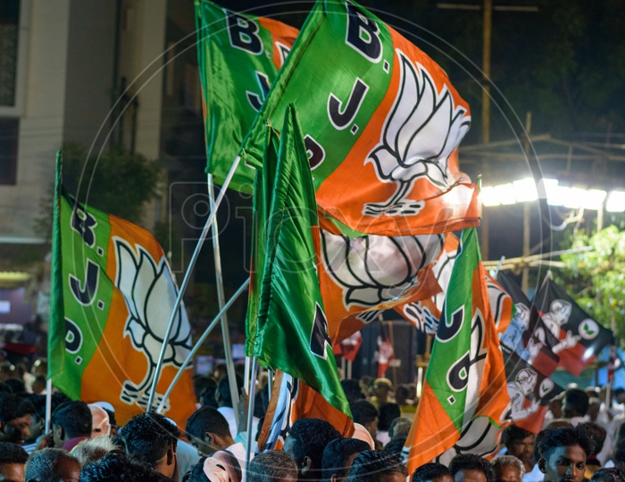 BJP cadres holding the BJP flag for a loksabha campaign