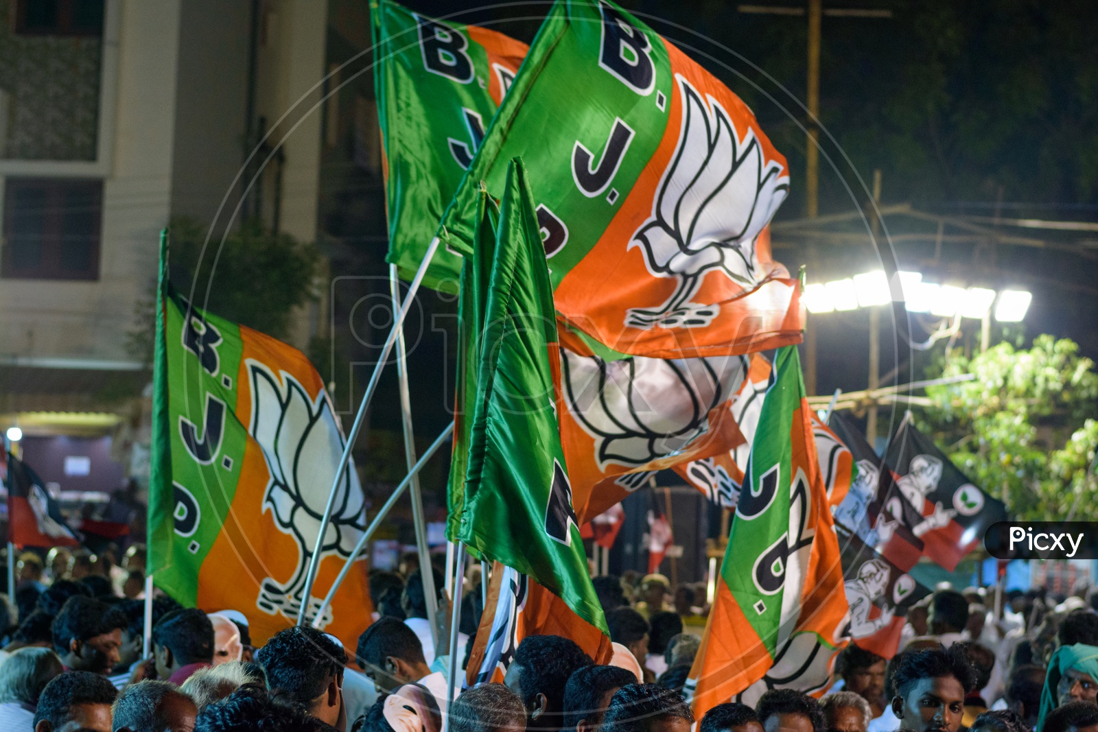 BJP cadres holding the BJP flag for a loksabha campaign