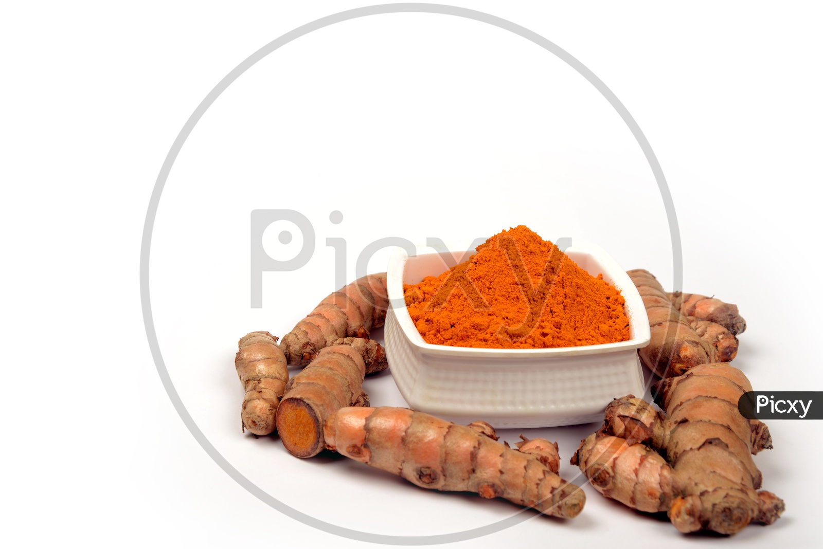 Organic Turmeric roots and Turmeric Powder in a bowl, Indian spices