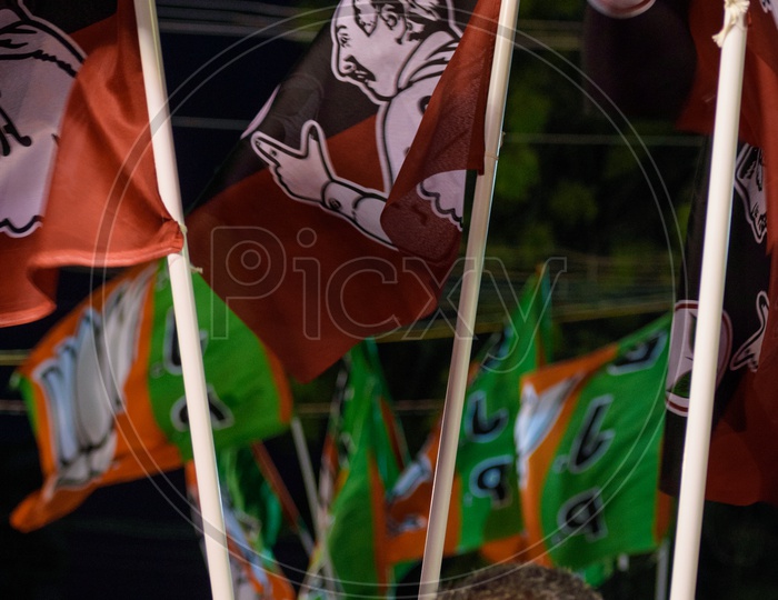 Cadres holding the ADMK and BJP flag ahead of loksabha election 2019