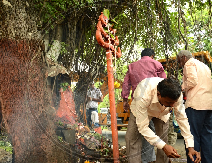 Devotees offering prayers to Hindu snake god