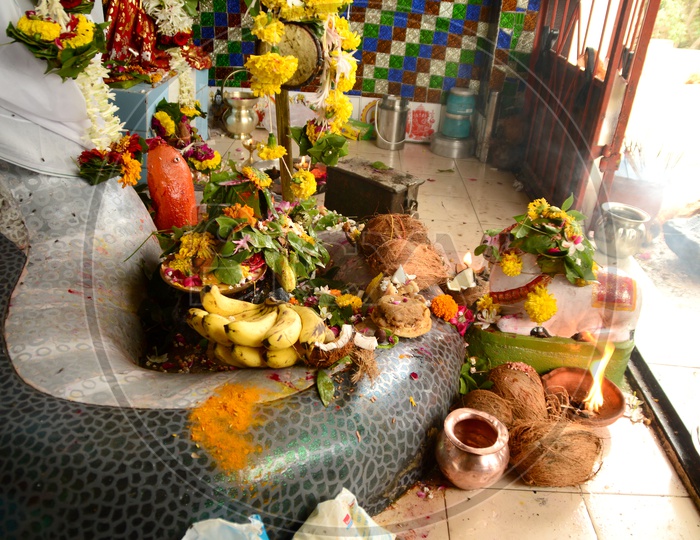 Indian Hindu Snake God statue during worship