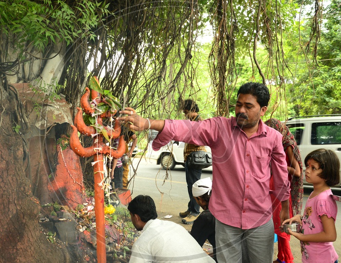 Indian Man offering prayers to Hindu snake god