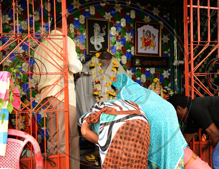 Devotees offering prayers to snake god