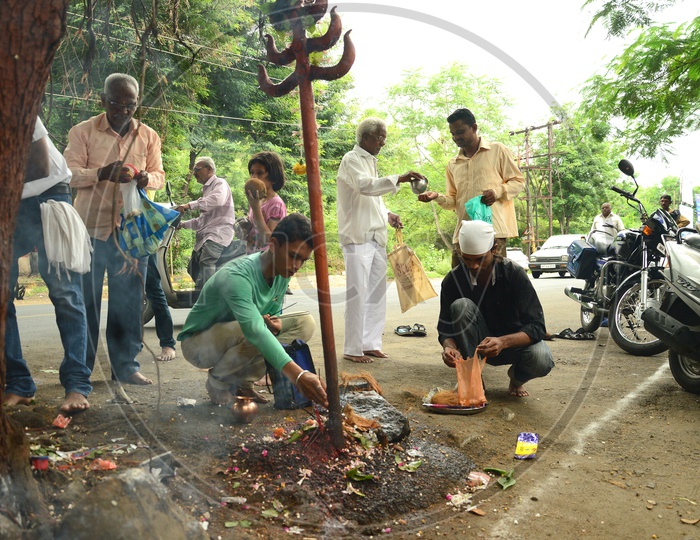 Devotees offering prayers to Hindu snake god