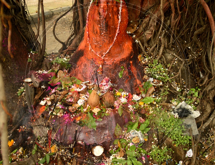Statue of Hindu Snake God during worship
