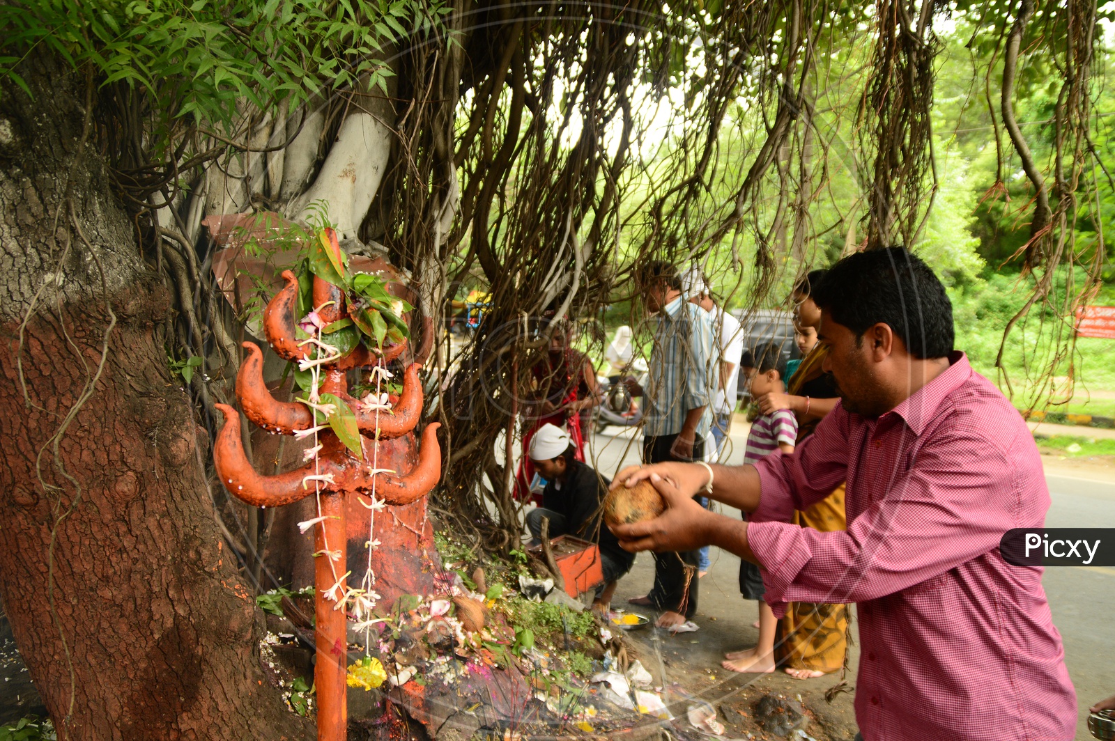 Indian Man offering prayers with coconut to snake god
