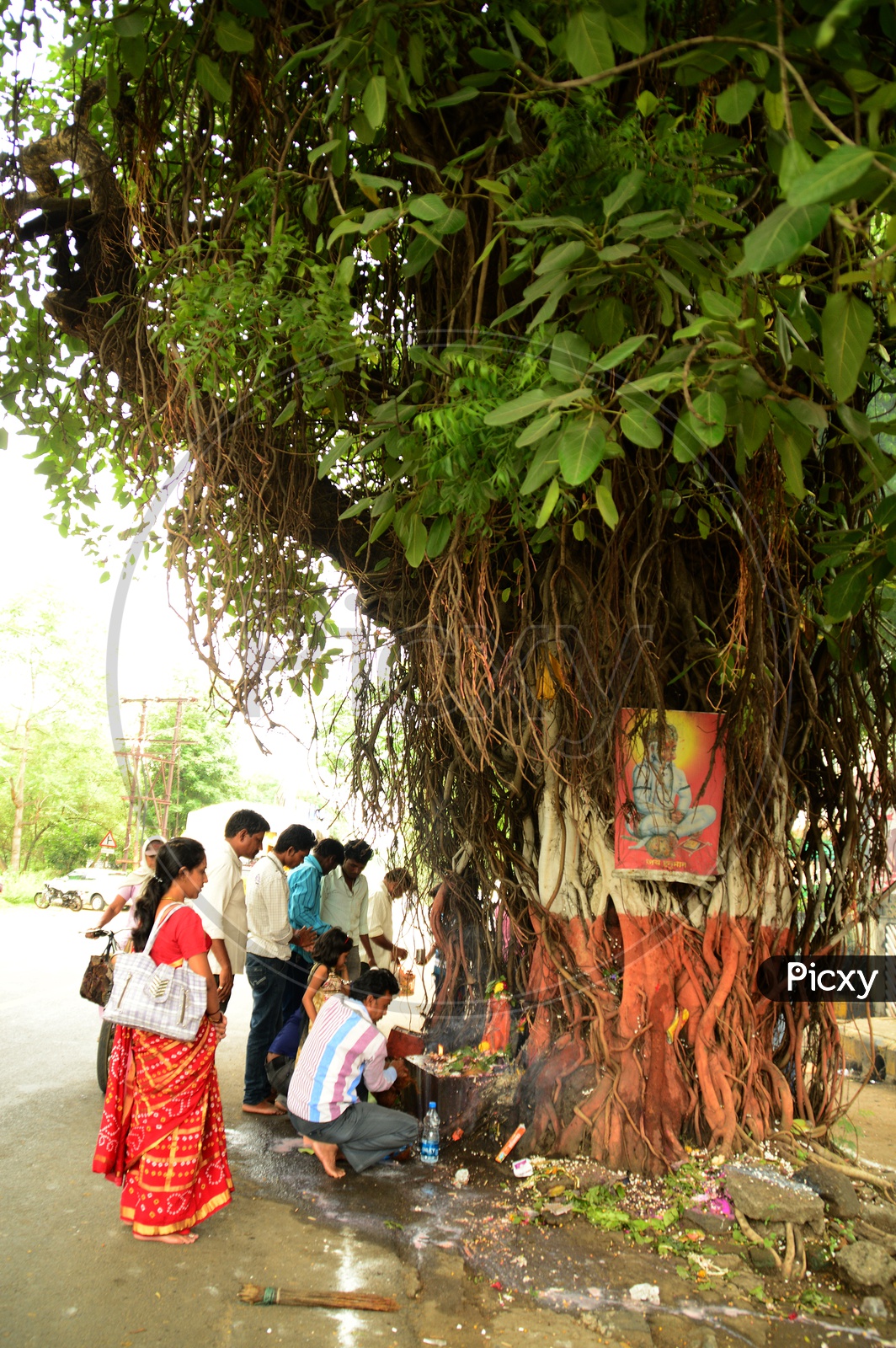 Devotees offering prayers to Sacred Tree of snake god