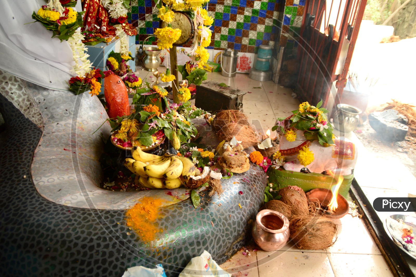 Indian Hindu Snake God statue during worship