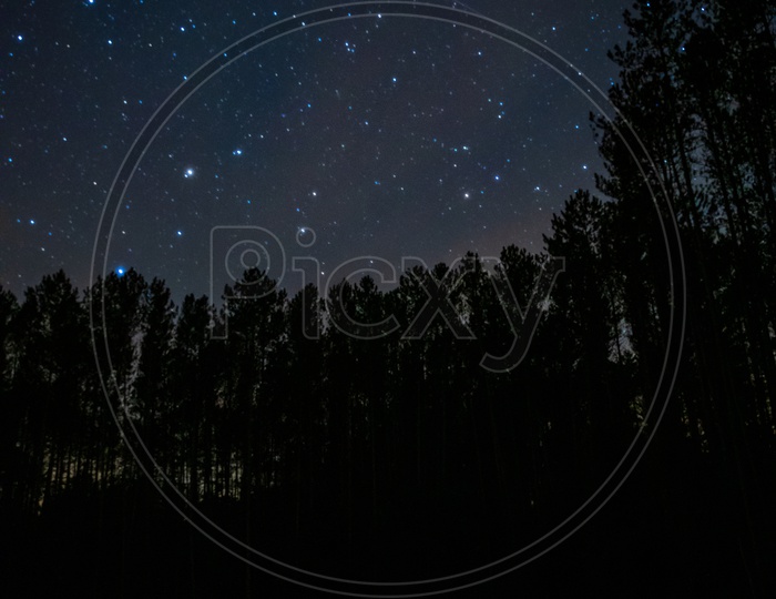 Starry sky and milky way with trees on the foreground