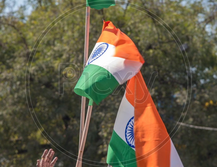 Indian Tri Color National Flags