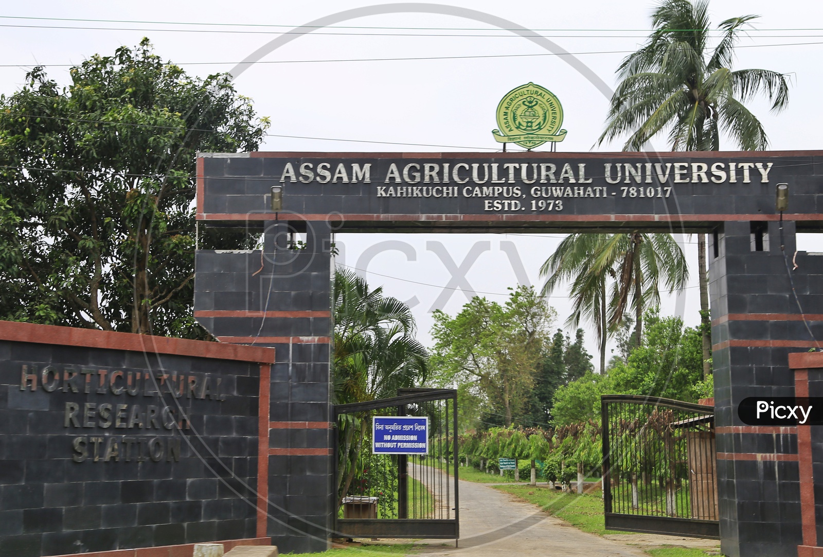Assam agriculture University