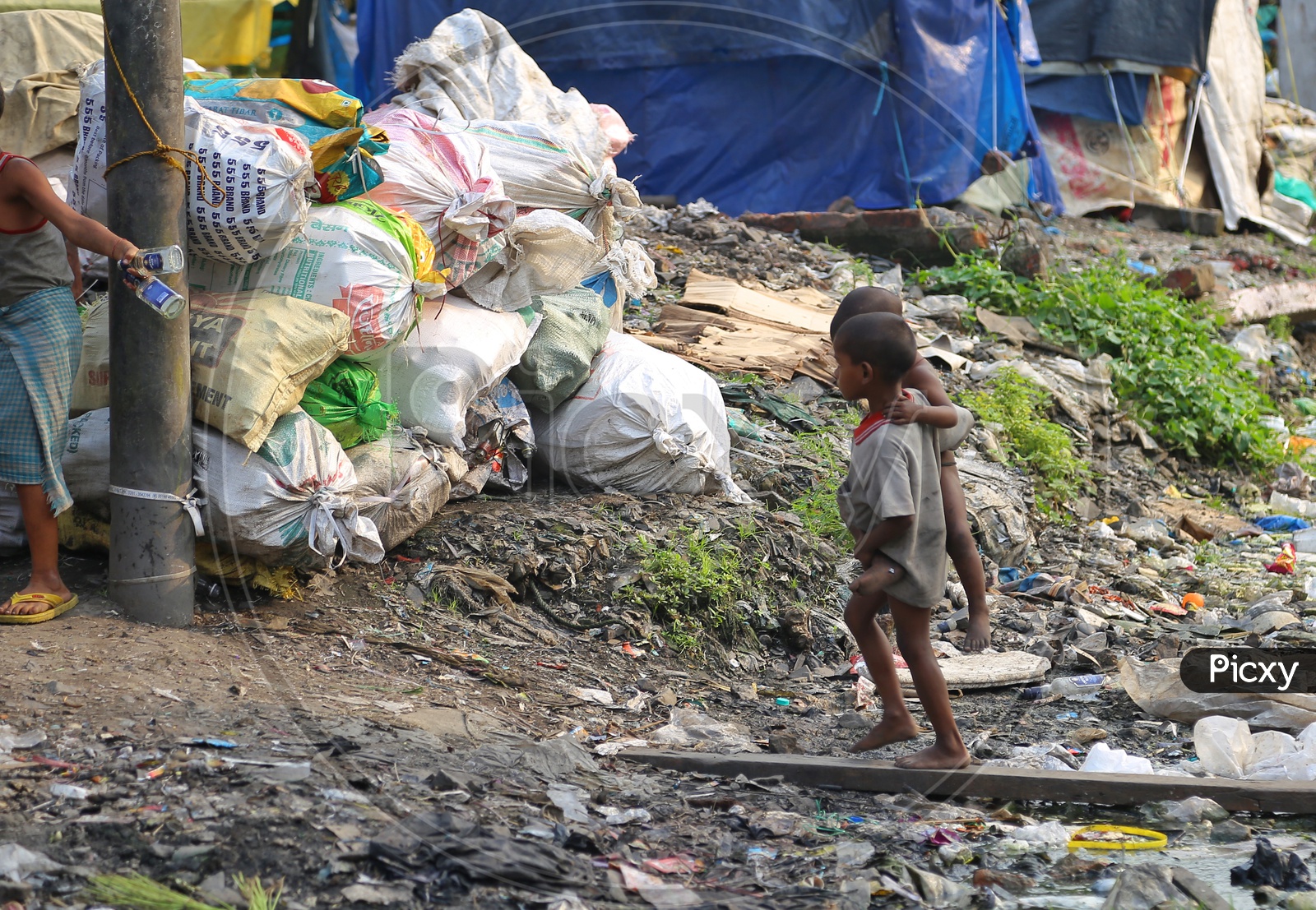 Image of Rag pickerFA411133Picxy