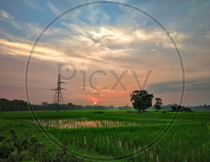 Sunset or rice field