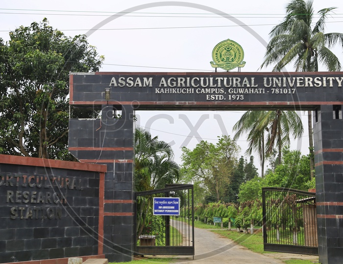 Assam agriculture University
