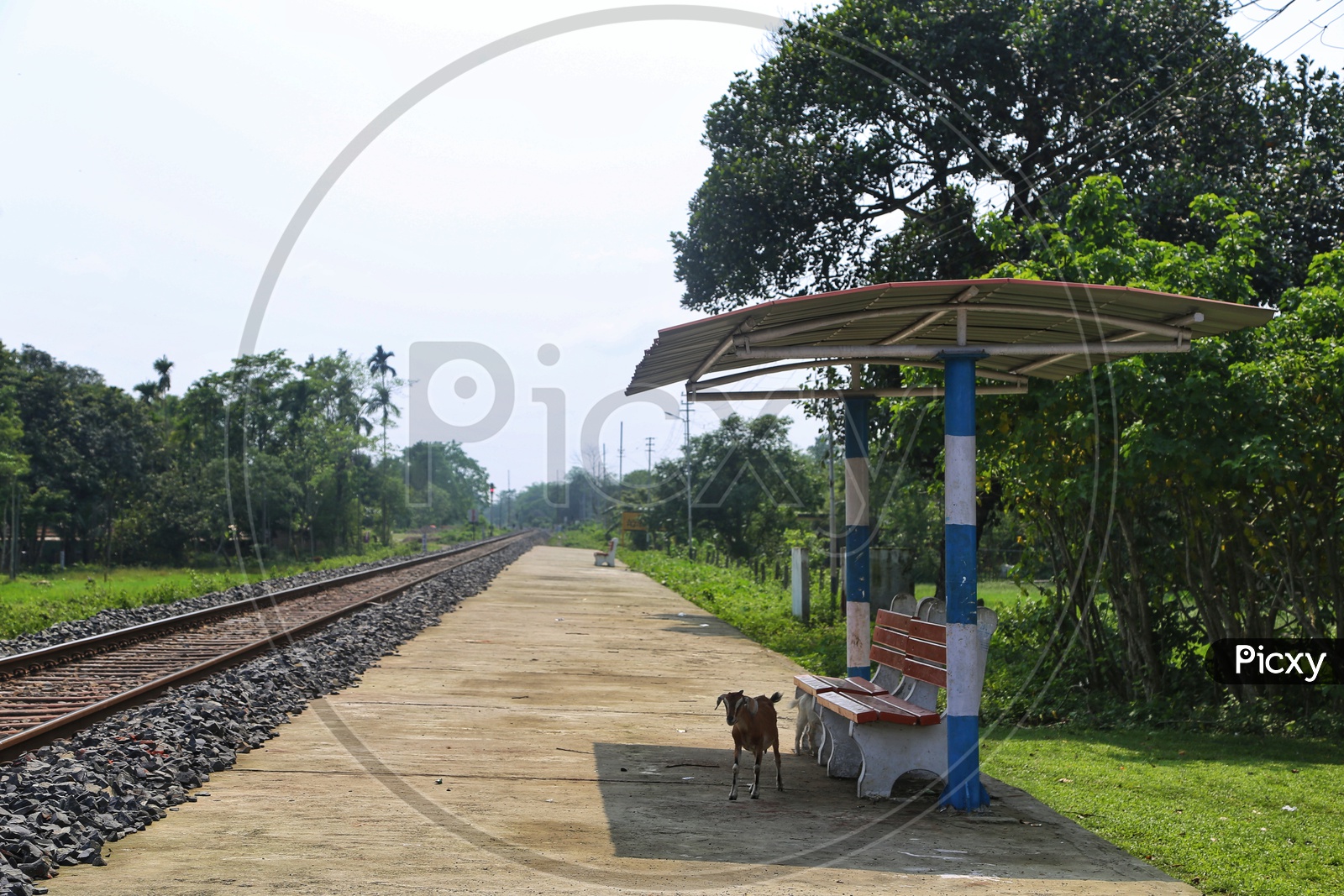 Empty Tracks And Platforms in Rural Village Railway Stations