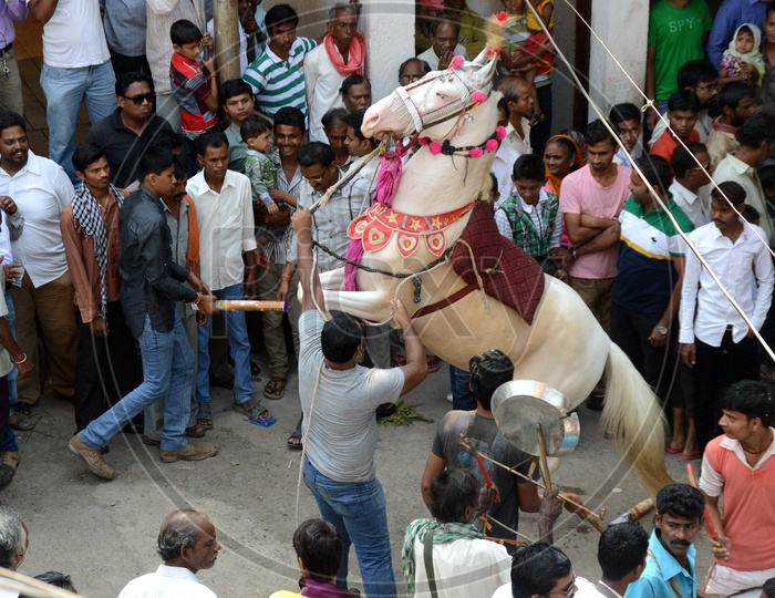Horse Man Doing Feats With The Horse In Procession Of Marbat in Nagpur
