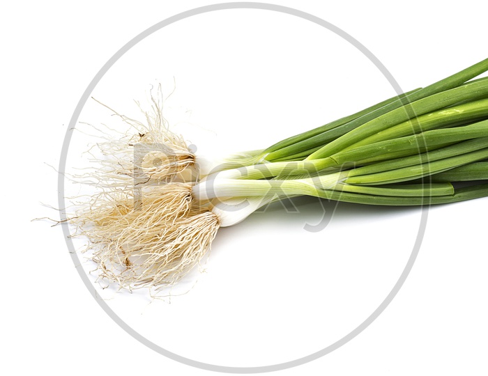 Fresh Green Spring Onion With Roots  On An Isolated White Background