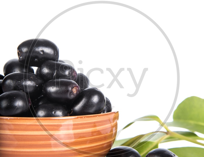 Jambolan plum or Java plum (Syzygium cumini) or Berry  Fruit In a Bowl  On an Isolated White Background