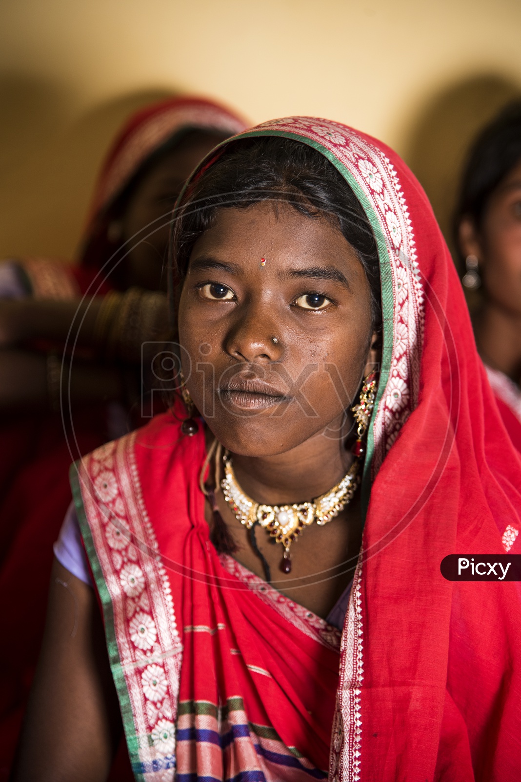 Tribal Tribal Woman Wearing The Traditional  Tribal Dress At World Tribal Day Celebrations in  Amravathi