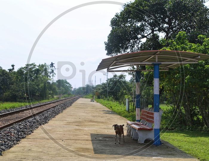 Empty Tracks And Platforms in Rural Village Railway Stations