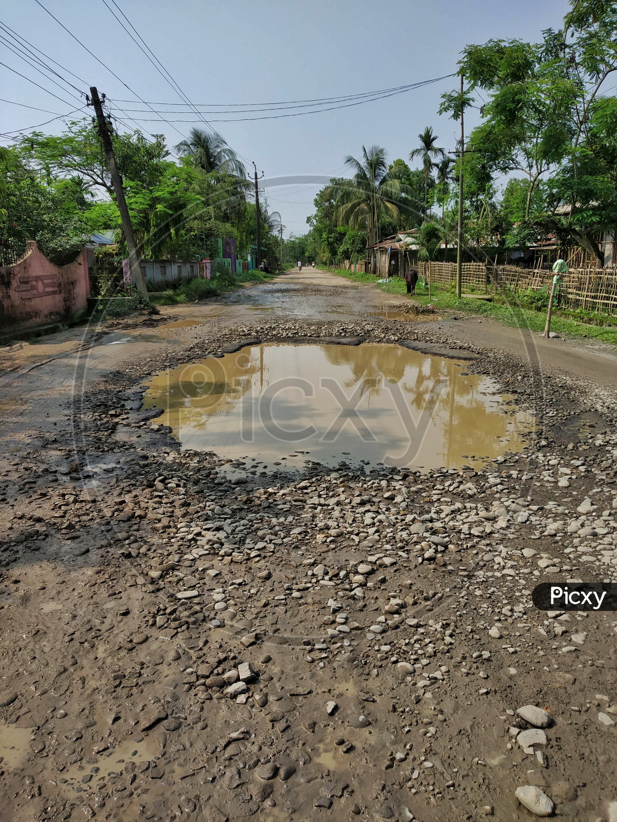 Image of Potholes Filled With Rain Water on Rural Village Roads in ...